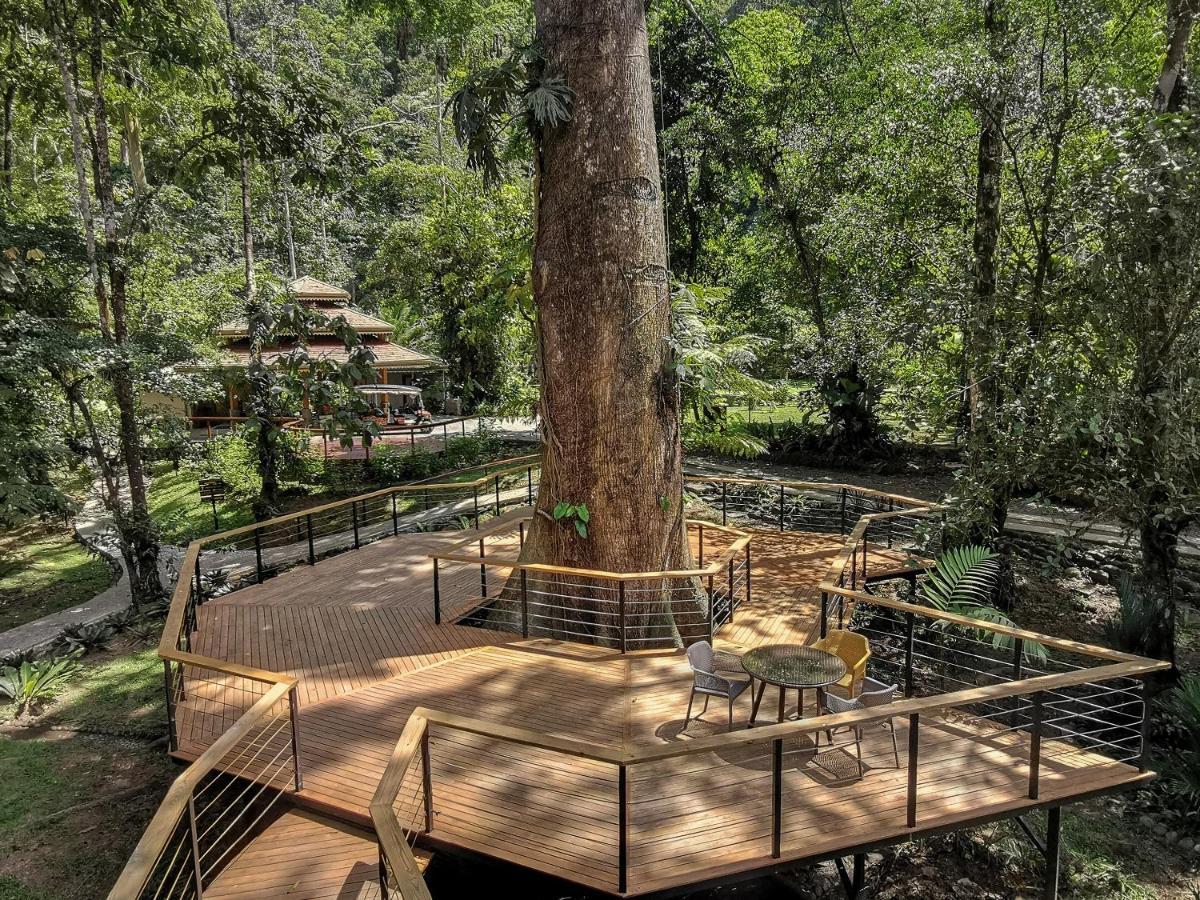 Pacuare Lodge By Boeena Limon Exteriör bild